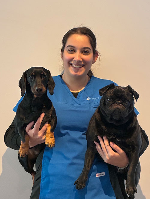 Balwyn Vet - Meet Our Team - Jacinda