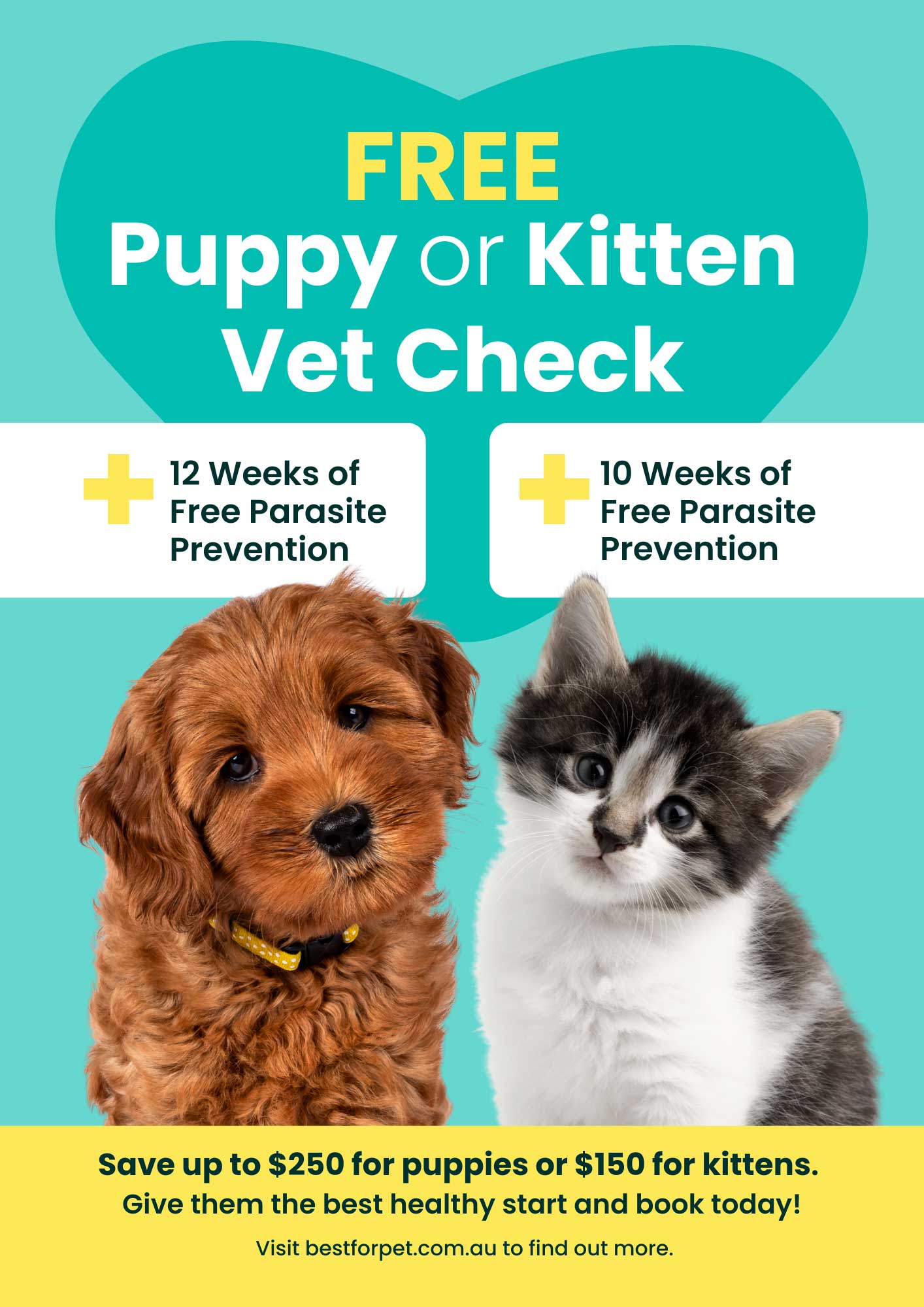 Arthritis Campaign at Balwyn Veterinary Surgery