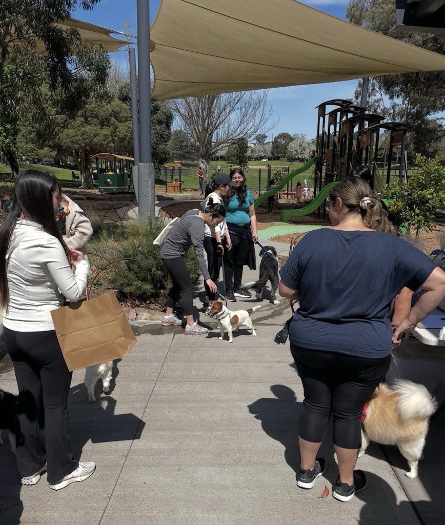BARKS IN THE PARK